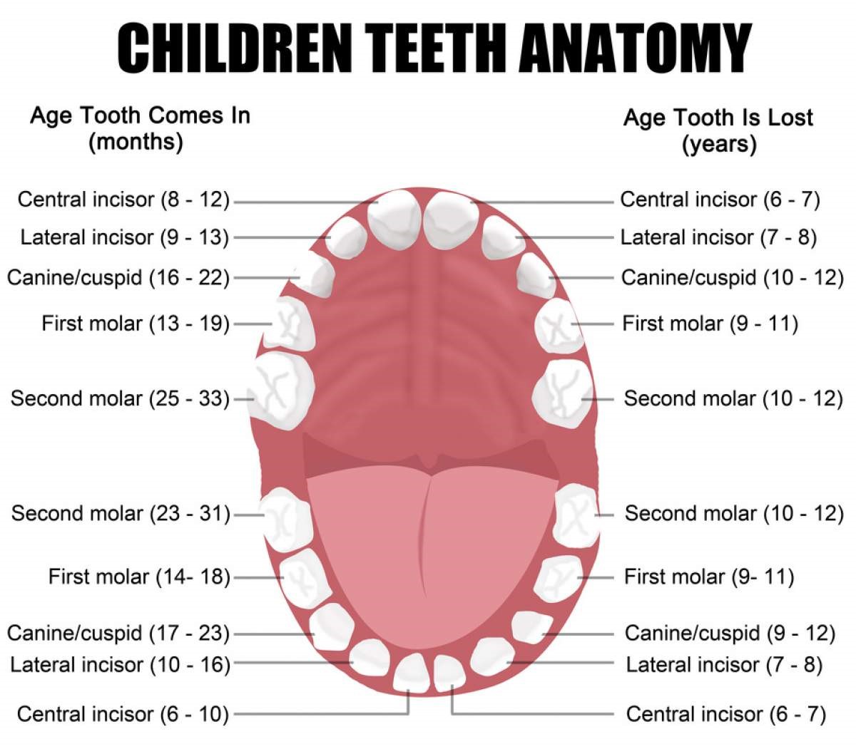 age to bring child to dentist